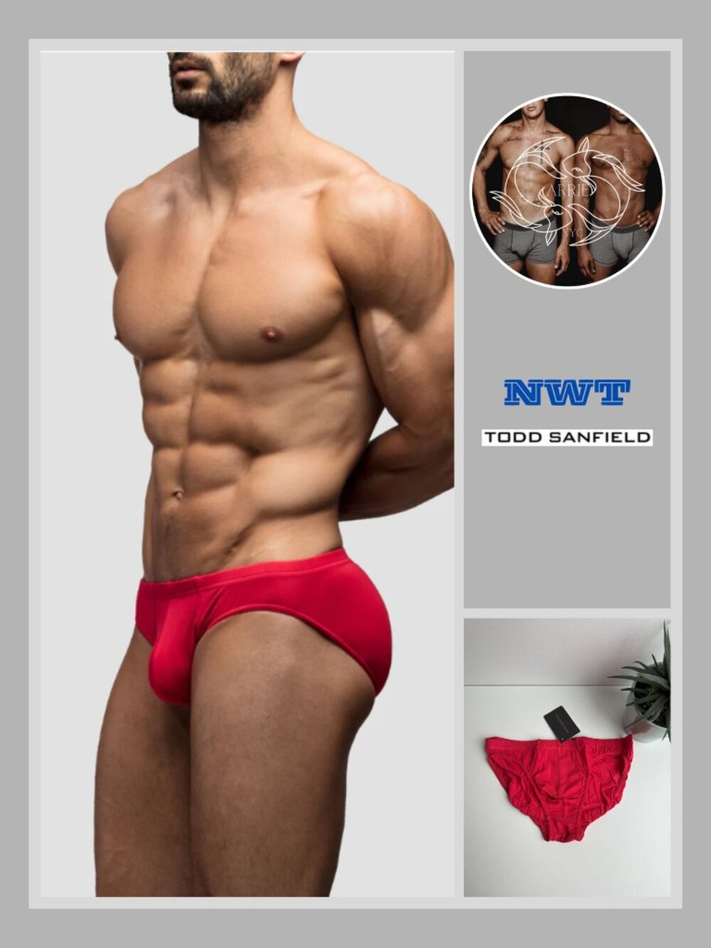 Todd Sanfield - Essential Bikini Brief - Real Red (M)
